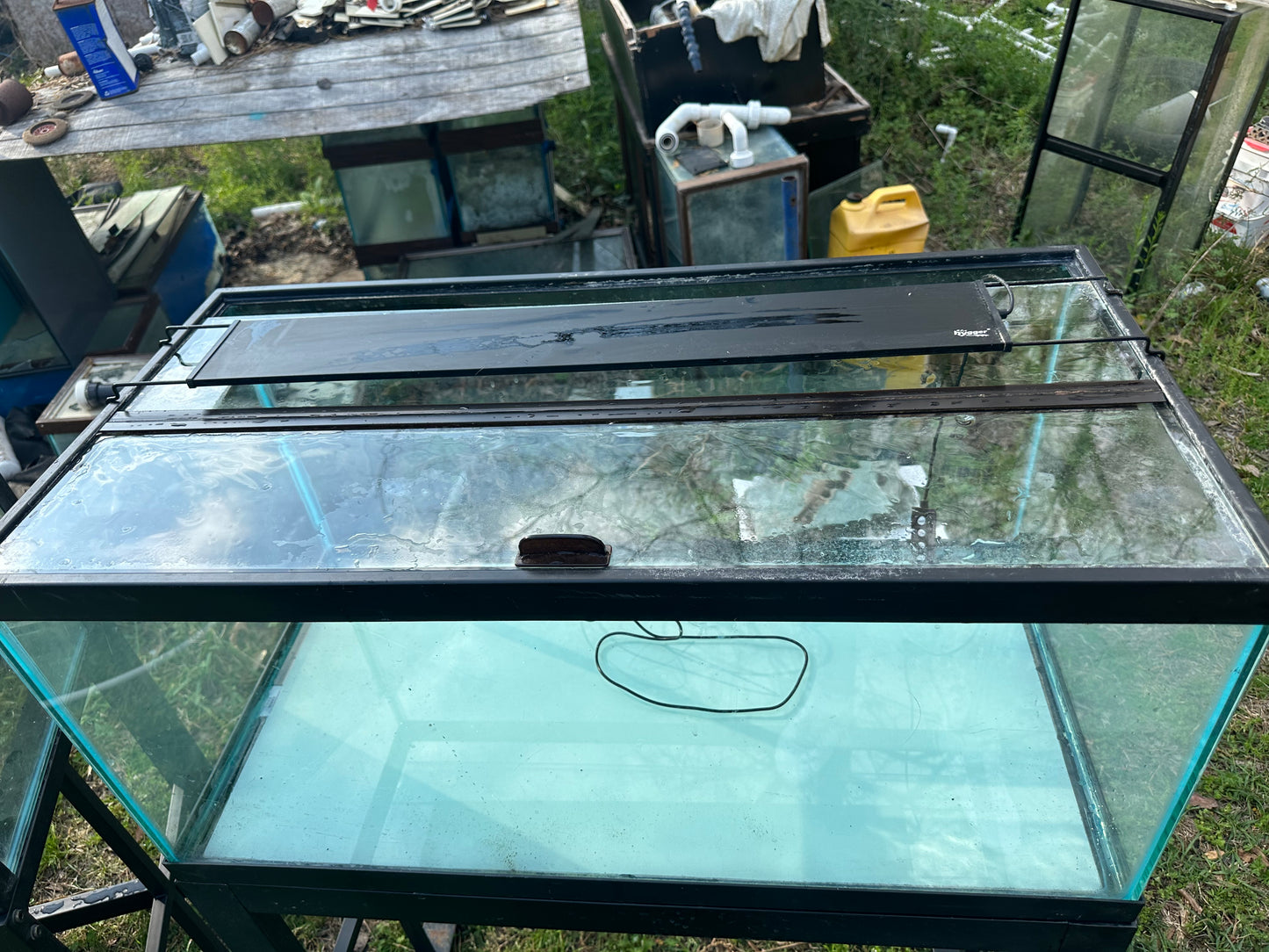 40 Gallon Breeder Used Setup